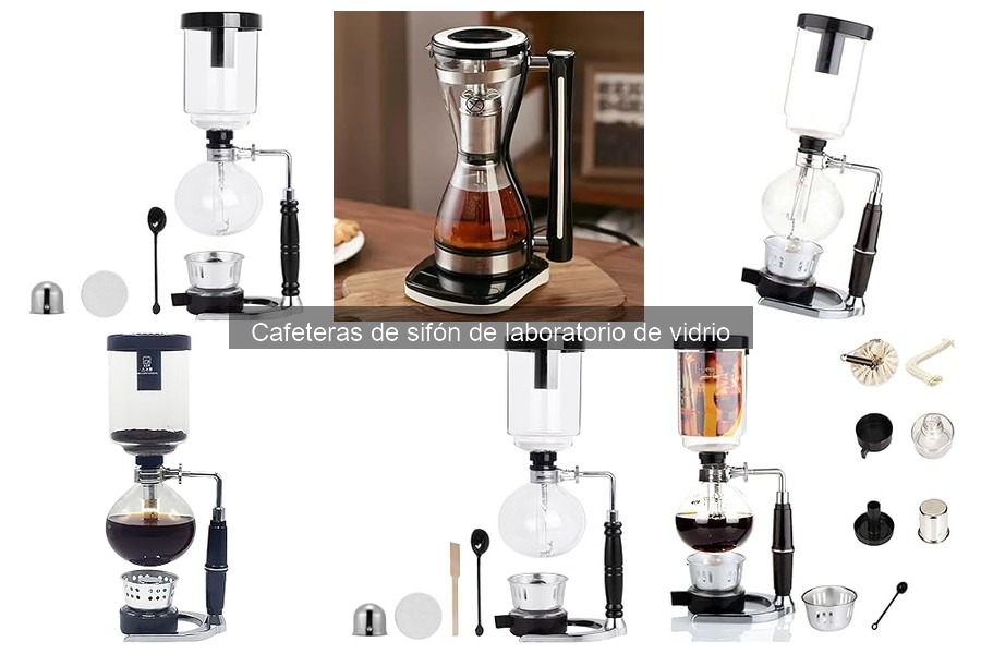 Cómo elegir la mejor cafetera de sifón de laboratorio
