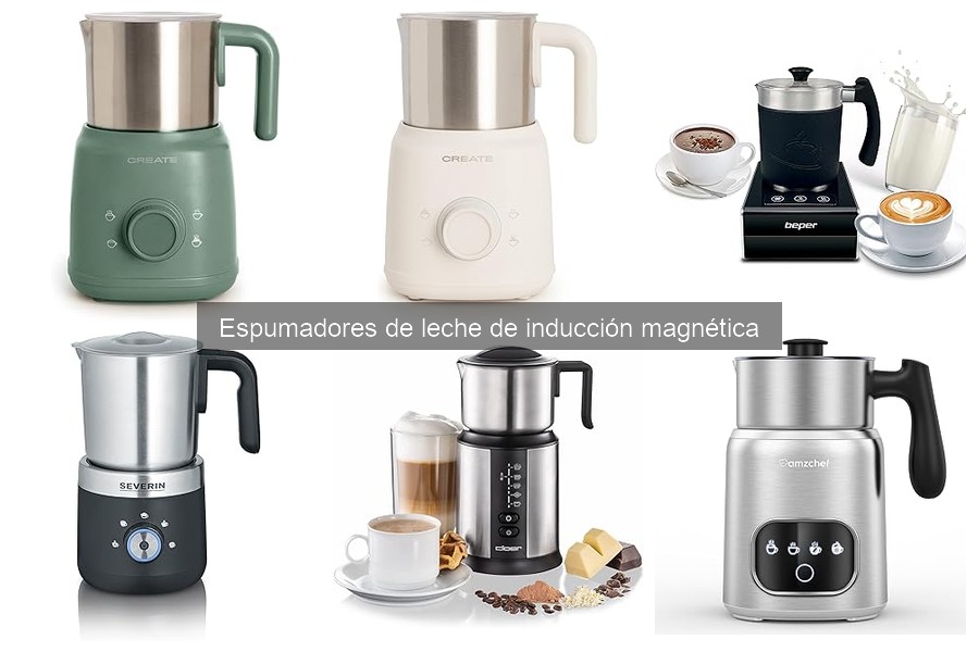 Opiniones de Espumadores de Leche de Inducción Magnética