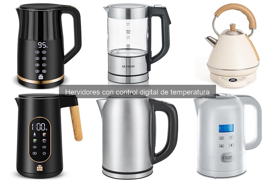 ¿Qué características buscar en un hervidor digital para té?