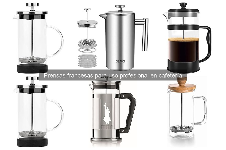 Solucionando Problemas Comunes con la Prensa Francesa
