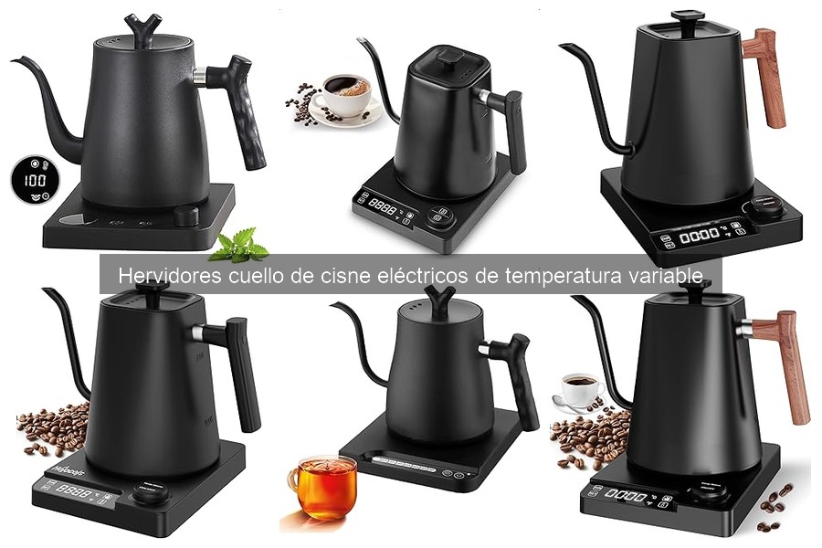 Ventajas del hervidor cuello de cisne eléctrico de temperatura variable