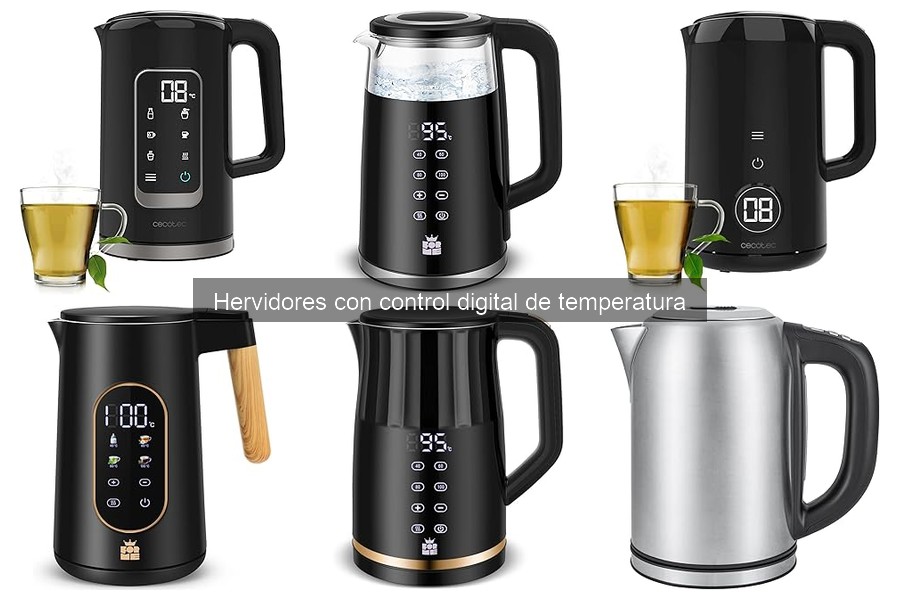 Ventajas y Desventajas de Hervidores con Control Digital
